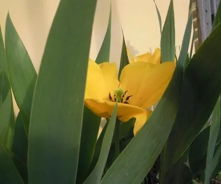 Bed & Breakfast L'antica Porta Boutique